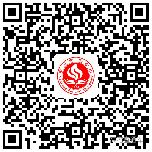 网站手机版 网站手机版