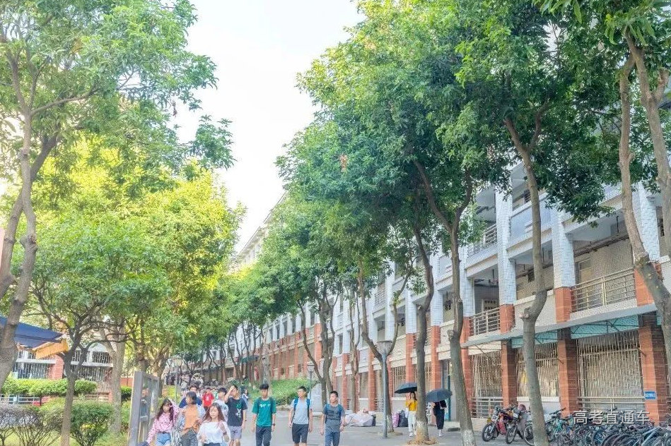 图书馆.jpg 图片