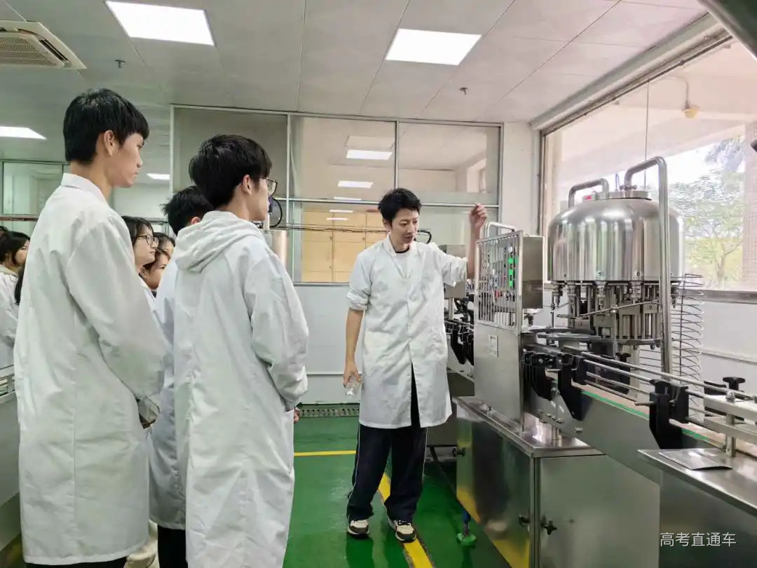 杨红老师照片.jpg 图片