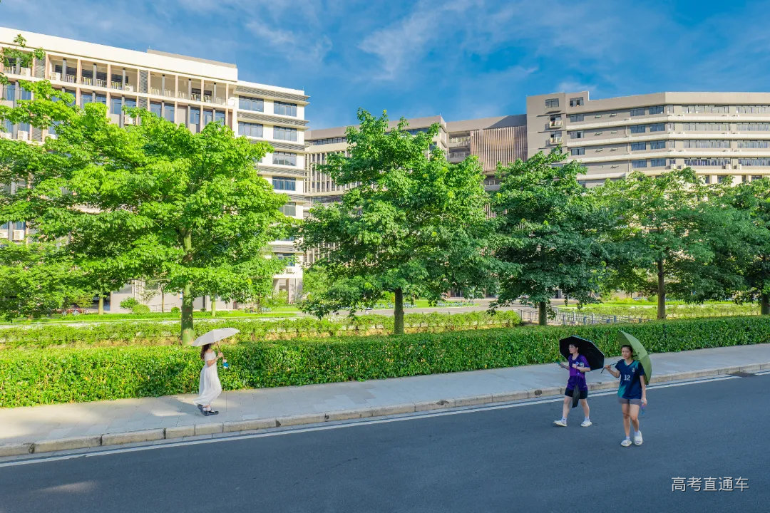 融媒体民政通知公告插画广告banner.jpg 图片