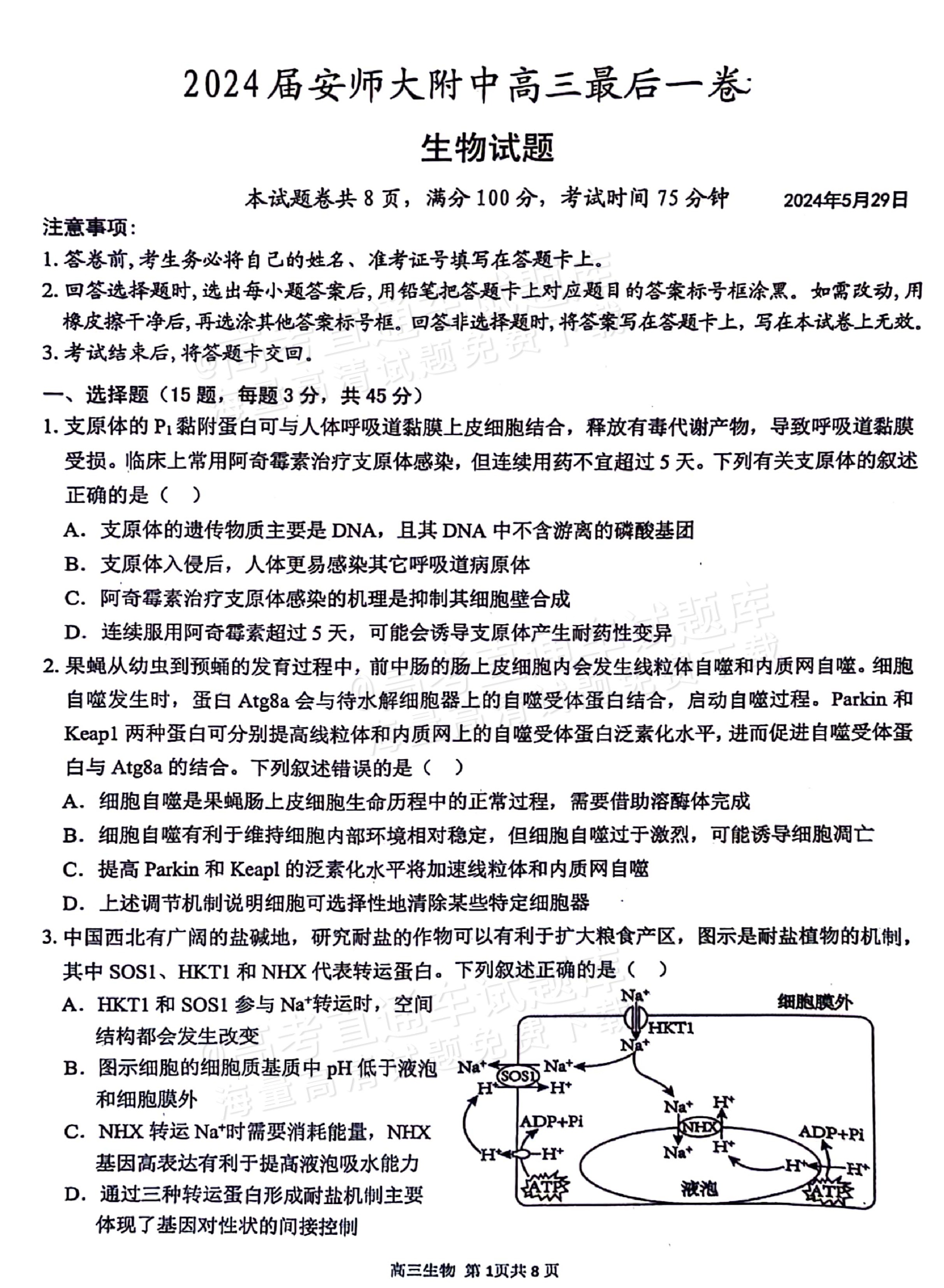 包含高三生物晚练卷！专题真题，限时训练的词条