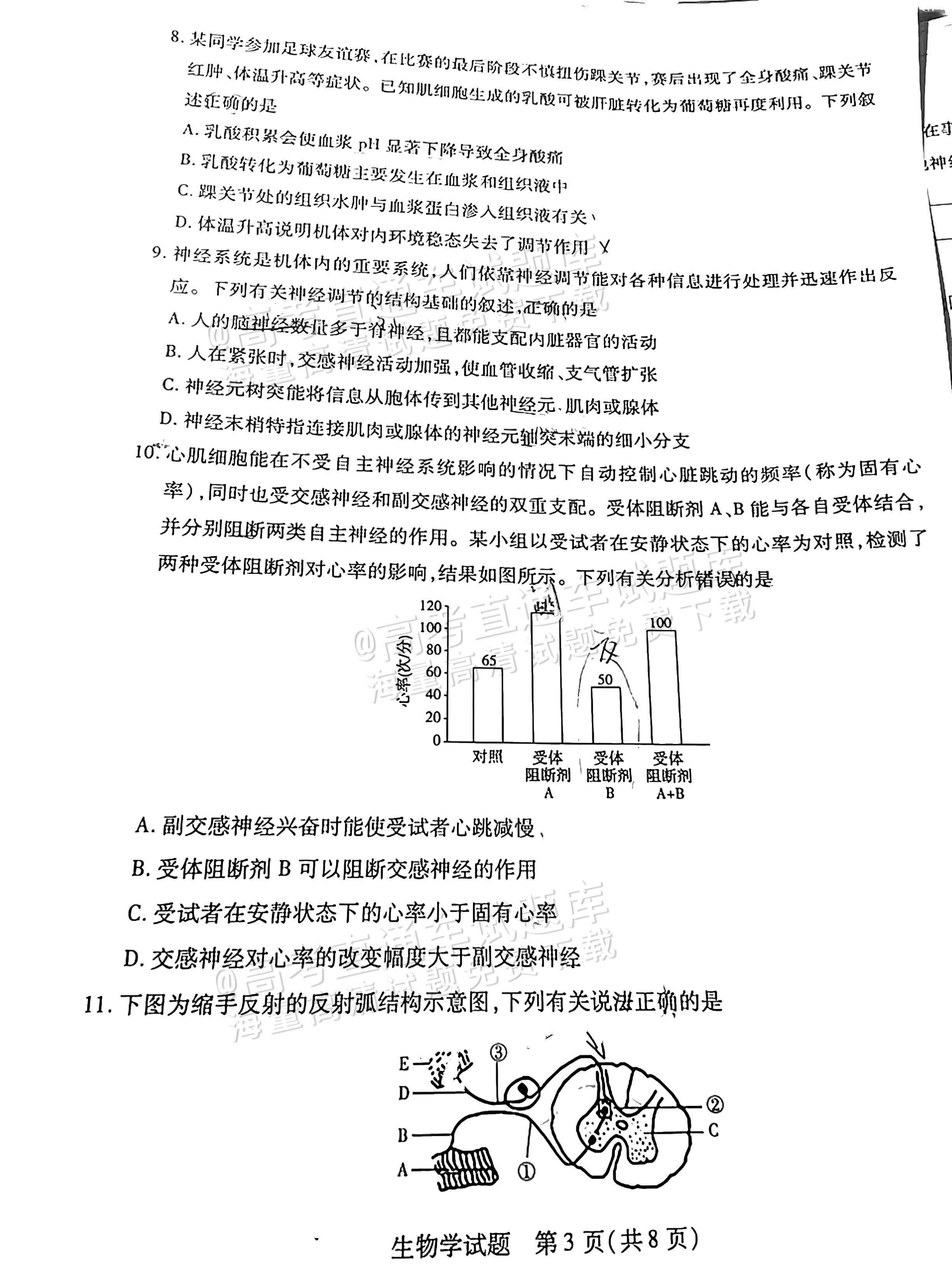 期末逆袭!高二生物重点卷,做完稳提分的简单介绍 期末逆袭!高二生物重点卷,做完稳提分的简单介绍