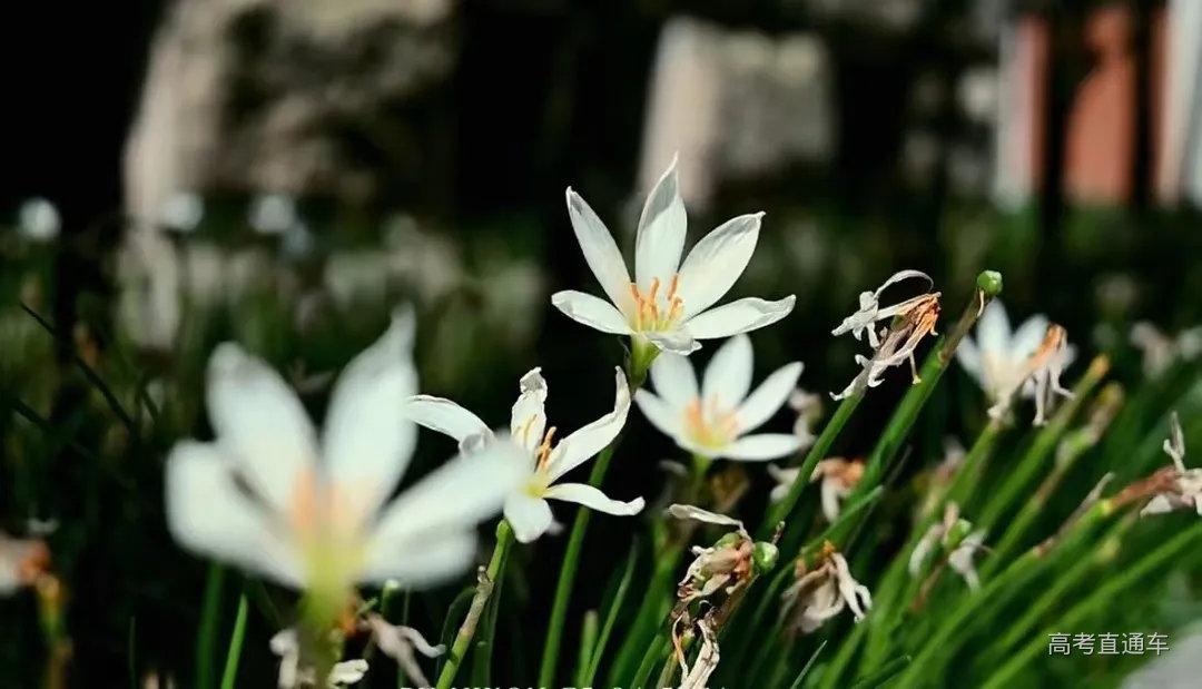 711d1526504829a4dde0914820ca5b9.jpg 图片