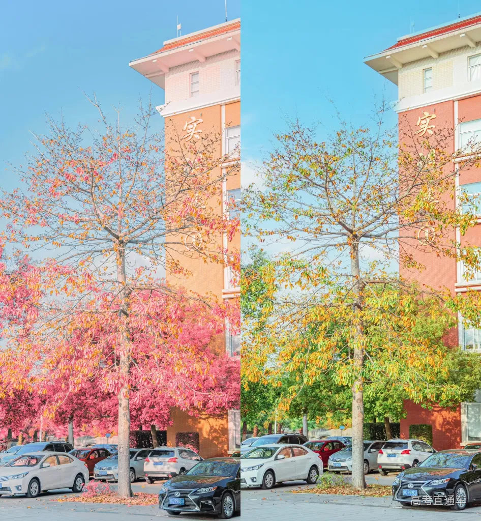 93931b814820cbadd3523cea0077fc8.jpg 图片