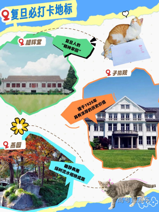 1750245249353458.png image.png