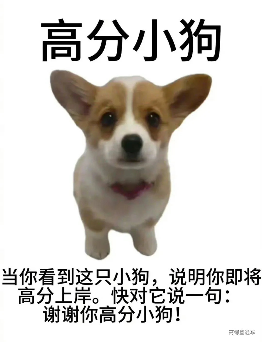 1750410519654872.png 图片.png
