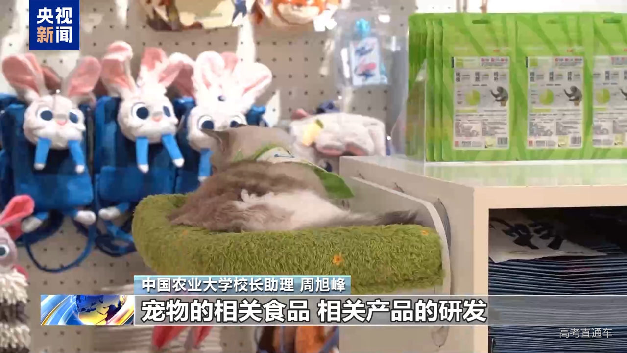 高考志愿新选择 宠物、智能农机等专业划出“新赛道”